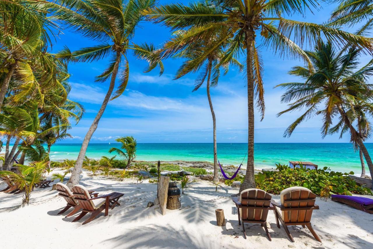 Moonshine Hotel Playa del Carmen Exterior foto
